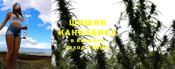 прущие крисы Алексеевка