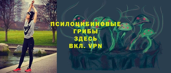 прущие крисы Алексеевка