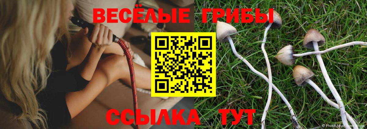 Галлюциногенные грибы Magic Shrooms  Вход с VPN  Лобня  Псилоцибиновые грибы Psilocybine cubensis 